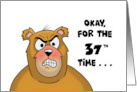 37th Birthday With Angry Looking Bear Okay, For The 37th Time card