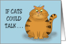 Humorous National Cat Day Card If Cat’s Could Talk They Wouldn’t card