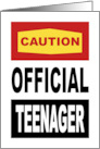 13th Birthday Card Caution Official Teenager May Contain Attitude card