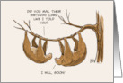 Humorous Belated Birthday With Two Cartoon Sloths On a Tree Branch card