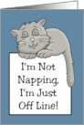 Blank Card With Cartoon Cat I’m Not Napping I’m Just Off Line card