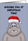 Missing You At Christmas Time With Cartoon Sad Hippo card