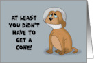 Humorous Feel Better With Cartoon Dog You Didn’t Have To Get A Cone card