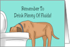 Humorous Get Well With Cartoon Dog Drinking Out Of Toilet Bowl card