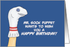 Humorous Adult Birthday Mr. Sock Puppet Wants To Wish You card