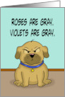 Adult Valentine From The Dog Roses Are Gray Violets Are Gray card