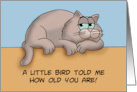 Humorous Birthday A Little Bird Told ME How Old You Are So I Ate Him card