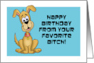 Humorous Birthday From The Dog From Your Favorite Bitch card