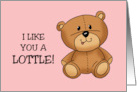 Cute Romance With Teddy Bear I Like You A Lottle It’s Like A Little card