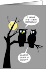Humorous Birthday With Two Owls It’s Their Birthday Who Gives A Hoot card