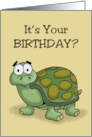 Birthday With Cartoon Tortoise It’s Your Birthday Let’s Shellabrate card