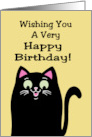 Humorous Birthday With Cartoon Cat Wishing You A Very Happy Birthday card