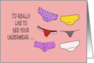 Humorous Adult Romance I’d Really Like To See Your Underwear card