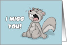 Humorous Miss You I Miss You Like A Squirrel Misses His Nuts card