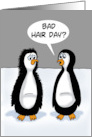 Humorous Blank Card With Two Penguins Bad Hair Day card