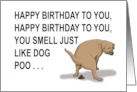 Humorous Brother Birthday You Smell Just Like Dog Poo card