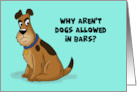 Funny Hello Why Aren’t Dogs Allowed In Bars? Can’t Hold Their Licker card