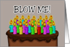 Humorous Birthday With A Birthday Cake And Candles Saying Blow Me card