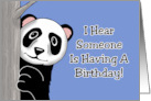 Humorous Birthday With Cartoon Panda Will There Be Bamboo card