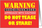 Humorous 13th Birthday Warning Official Teenager Approach With card