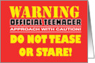 Humorous 14th Birthday Warning Official Teenager Approach With card