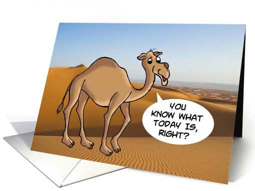 Wednesday Hump Day Cartoon Camel Against Desert Photo. card (1472986)