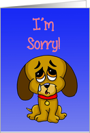 I’m Sorry Card with Sad Puppy with Tear card