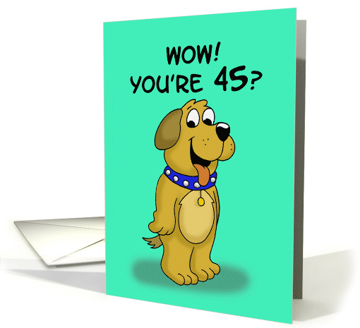 Getting Older Birthday Card with a Cartoon Dog. You're 45? card