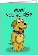 Getting Older Birthday Card with a Cartoon Dog. You’re 45? card
