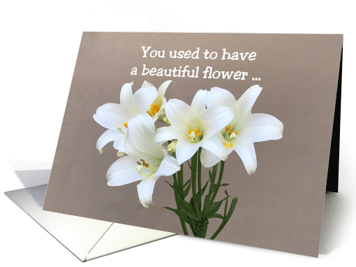 Congratulations on Loss of Virginity With Beautiful Flower card