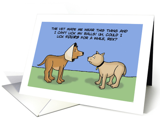Adult Thank You Card with Two Dogs One with a Cone On. card (1482542)