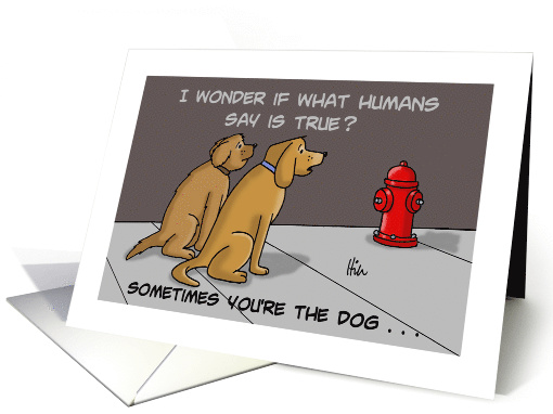 Encouragement Card Showing Two Dogs and a Fire Hydrant card (1482546)