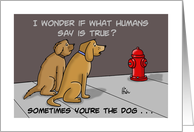 Encouragement Card Showing Two Dogs and a Fire Hydrant card