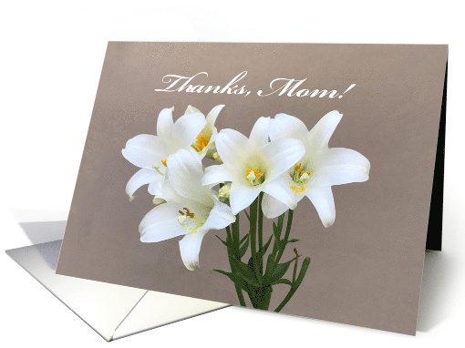 Mother's Day Card with Picture of Lilly's card (1483980)