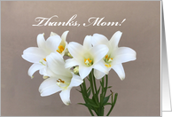 Mother’s Day Card with Picture of Lilly’s card