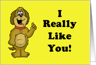 Friendship Card with a Cartoon Dog Saying I Really Like You! card