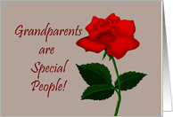 Grandparents Day Card Grandparents Are Special People card