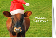 MOOORY Christmas