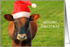 MOOORY Christmas card