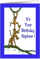 Humorous Birthday Card For A Nephew With Monkeys Goofing Off card