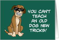 Humorous Tax Day Card You Can’t Teach An Old Dog New Tricks card