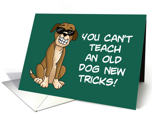 Humorous Birthday Card You Can't Teach An Old Dog New... (1526938)
