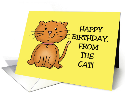 Birthday Card With Cartoon Cat Happy Birthday From The Cat card