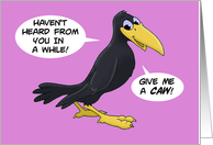 Humorous Hi/Hello Card With A Cartoon Crow Give Me A Caw! card