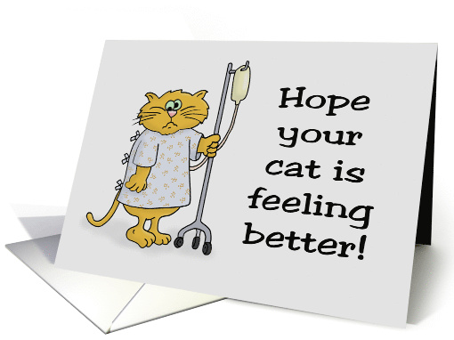 Get Well Card For Pet Cat Hope Your Cat Is Feeling Better card