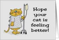 Get Well Card For Pet Cat Hope Your Cat Is Feeling Better card