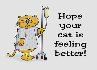 Get Well Card For...