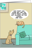 National Cat Day Card With Cat Taunting Dog About The Couch card