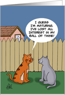 Blank Note Card With Cat Who Has Lost Interest In Ball Of Twine card