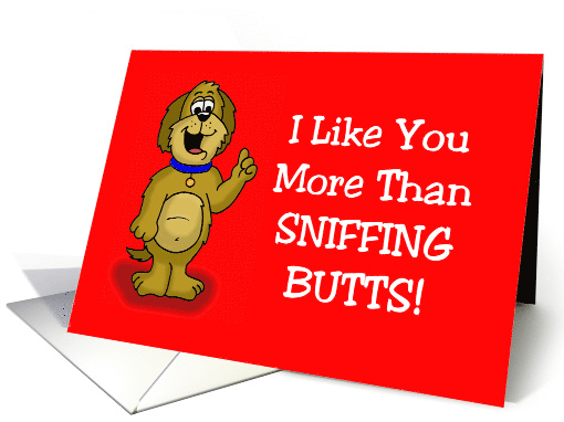 Adult/Sexy Love/Romance Card I Like You More Than Sniffing Butts card
